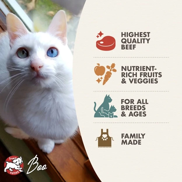 Four-Star Beef Liváttini Veg® Recipe Dry Cat Food 10 lb