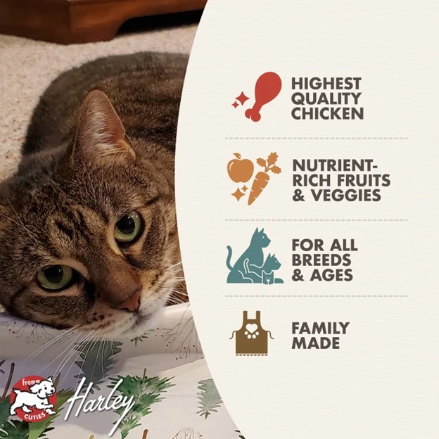 Four-Star Chicken À La Veg® Recipe Dry Cat Food 4 lb