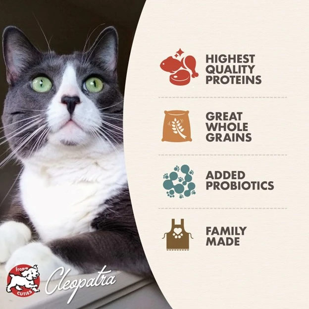 Healthy Weight Gold Dry Cat Food 4 lb