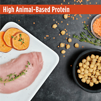Freestyle High-Protein Turkey & Sweet Potato Recipe Dry Dog Food 24 lb