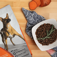 Freestyle High-Protein Turkey & Sweet Potato Recipe Dry Dog Food 24 lb