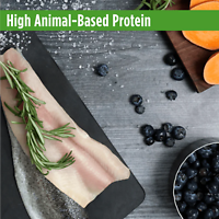 Freestyle High-Protein Senior Trout & Sweet Potato Recipe Dry Dog Food 4.5 lb
