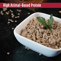 Freestyle Grain-Free Lamb & Lentils Recipe Canned Dog Food 13 oz