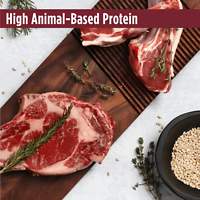 Frontrunner High-Protein Beef, Barley & Lamb Recipe Dry Dog Food 3 lb