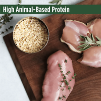 Frontrunner High-Protein Puppy Chicken, Oats & Turkey Recipe Dry Dog Food 23 lb