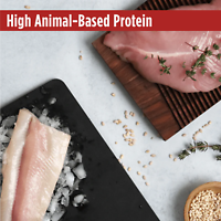 Frontrunner High-Protein Turkey, Trout & Spelt Recipe Dry Dog Food 23 lb