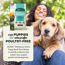Wholesome Grains Puppy Sea & Farm Recipe Dry Dog Food 22.5 lb