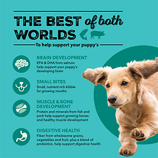 Wholesome Grains Puppy Sea & Farm Recipe Dry Dog Food 22.5 lb