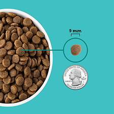 Wholesome Grains Puppy Sea & Farm Recipe Dry Dog Food 22.5 lb