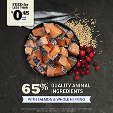 Indoor Entrée Recipe with Fish Dry Cat Food 4 lb