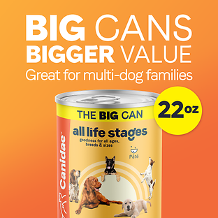 All Life Stages Chicken & Rice Formula Canned Dog Food 22 oz