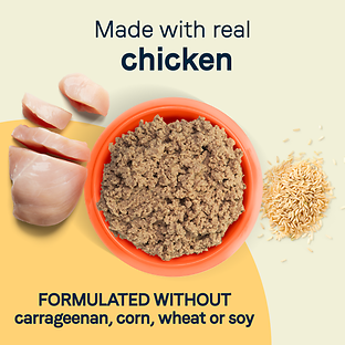 All Life Stages Chicken & Rice Formula Canned Dog Food 22 oz