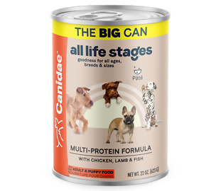 All Life Stages Multi-Protein Formula with Chicken, Lamb & Fish Canned Dog Food 22 oz