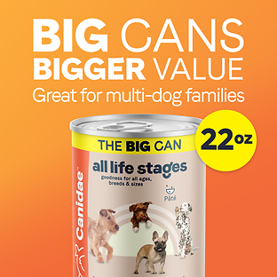 All Life Stages Multi-Protein Formula with Chicken, Lamb & Fish Canned Dog Food 22 oz