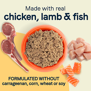 All Life Stages Multi-Protein Formula with Chicken, Lamb & Fish Canned Dog Food 22 oz