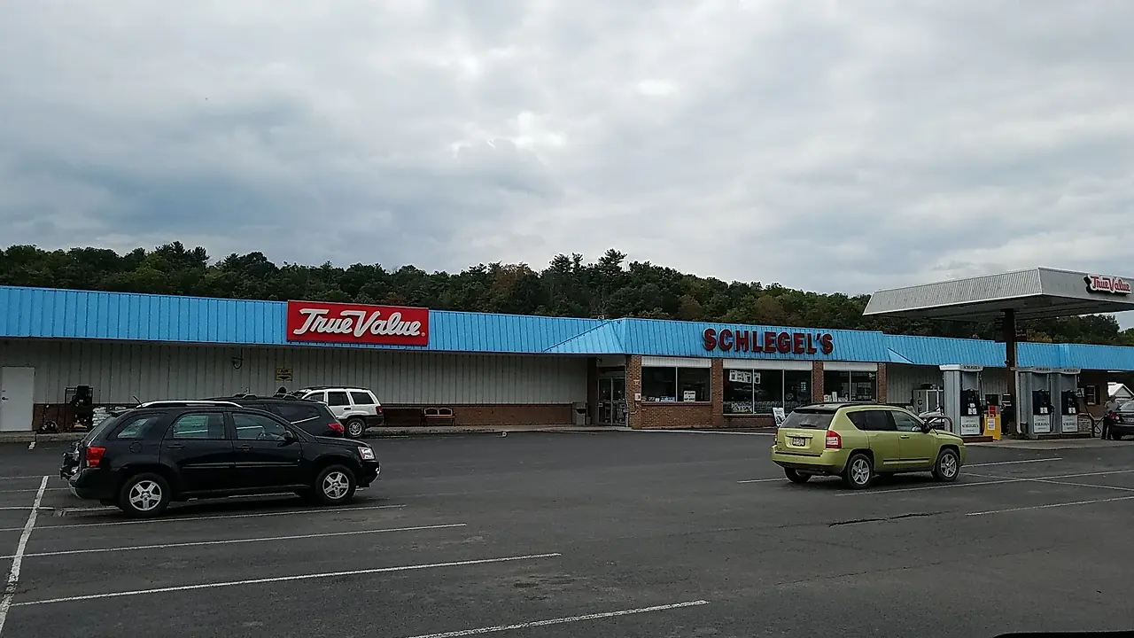 W E Schlegel Inc.                                 