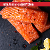 Small Breed Chicken, Salmon & Pumpkin Recipe Pate For Puppy & Adult Canned Dog Food 2.8 oz