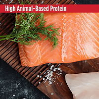 Cold Pressed Meals Salmon Recipe Kibble Alternative Dog Food 2.2 lb