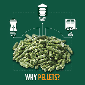 Premium Western Forage Alfalfa Hay Pellets 40 lb