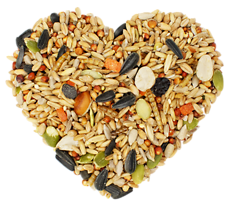 Fruit & Worms Chicken Treats 5 lb