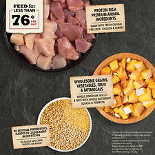 Wholesome Grains Small Breed Recipe Dry Dog Food 11.5 lb