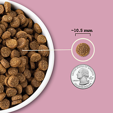 Wholesome Grains Small Breed Recipe Dry Dog Food 11.5 lb