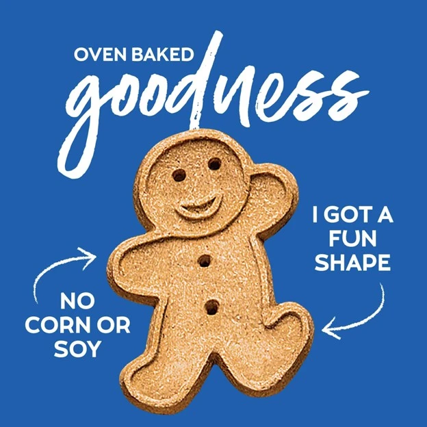 Oven Baked Bacon & Cheese Crunchy Dog Treats 16 oz