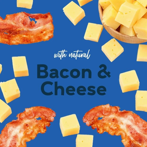 Oven Baked Bacon & Cheese Crunchy Dog Treats 16 oz