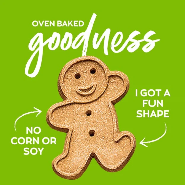 Oven Baked Grain-Free Roasted Chicken Crunchy Dog Treats 14 oz