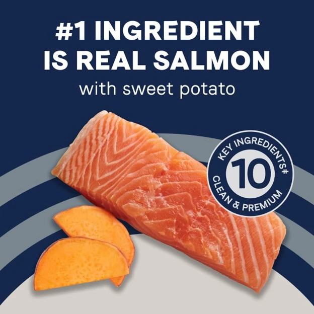 Pure Goodness Real Salmon & Sweet Potato Recipe Grain-Free Dry Dog Food 4 lb