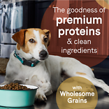 Pure Goodness Wholesome Grains Beef & Barley Recipe Dry Dog Food 4 lb