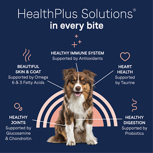 Pure Goodness Wholesome Grains Beef & Barley Recipe Dry Dog Food 4 lb