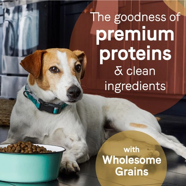Pure Goodness Wholesome Grains Bison & Barley Recipe Dry Dog Food 22 lb