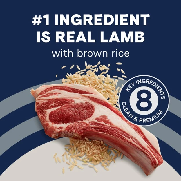 Pure Goodness Wholesome Grains Lamb & Brown Rice Recipe Dry Dog Food 4 lb