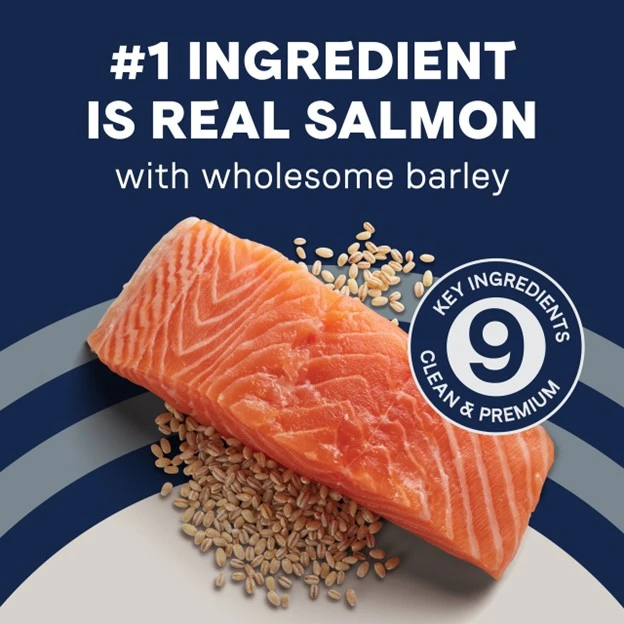 Pure Goodness Wholesome Grains Salmon & Barley Recipe Dry Dog Food 4 lb