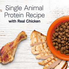 Under the Sun Grain-Free Chicken Recipe Dry Dog Food 40 lb