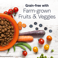 Under the Sun Grain-Free Chicken Recipe Dry Dog Food 40 lb