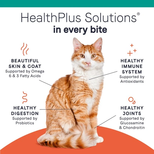 Pure Goodness Grain-Free Premium Recipe with Real Chicken Dry Cat Food 5 lb