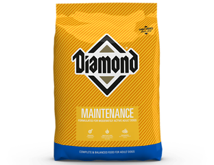 Maintenance Adult Dry Dog Food 40 lb