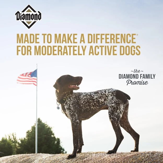 Maintenance Adult Dry Dog Food 40 lb