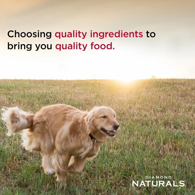 Naturals Large Breed Chicken & Rice Formula Adult Dry Dog Food 40 lb