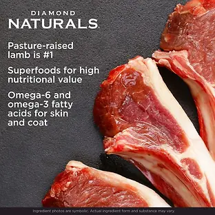 Naturals Large Breed Puppy Lamb & Rice Formula Dry Dog Food 40 lb