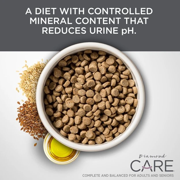 CARE Urinary Support Formula Adult Dry Cat Food 6 lb