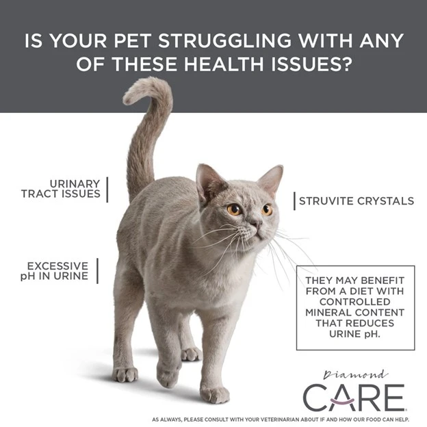 CARE Urinary Support Formula Adult Dry Cat Food 6 lb