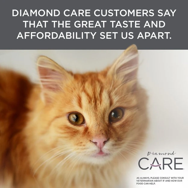 CARE Urinary Support Formula Adult Dry Cat Food 6 lb