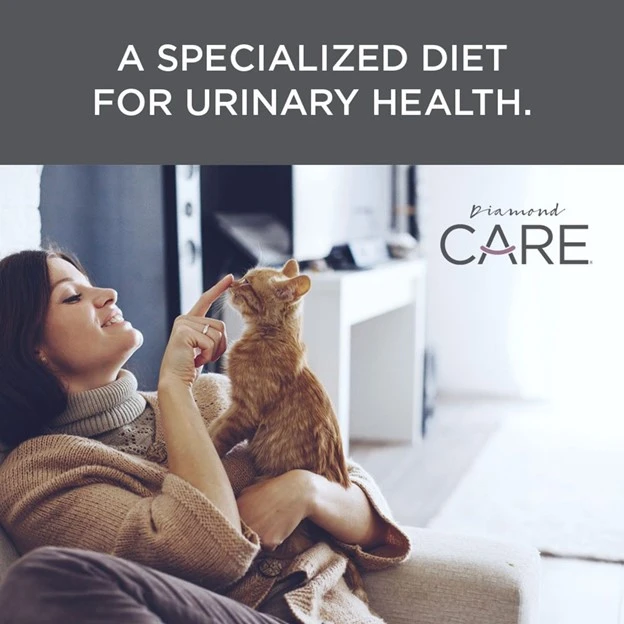 CARE Urinary Support Formula Adult Dry Cat Food 6 lb