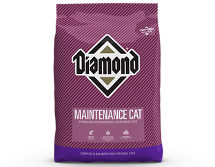 Maintenance Cat Dry Cat Food 20 lb