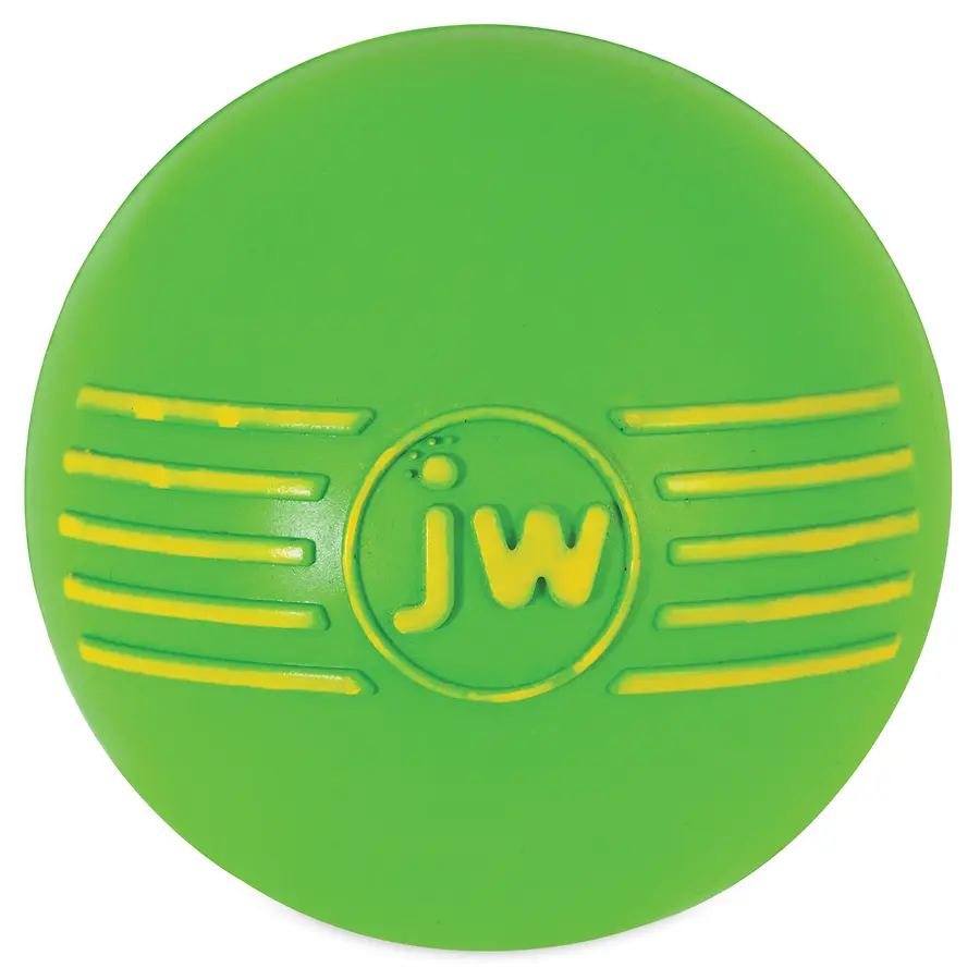 iSqueak Ball Dog Toy Assorted Medium