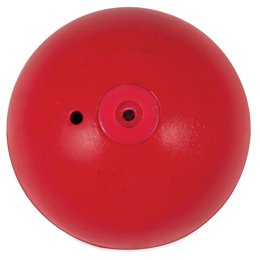 iSqueak Ball Dog Toy Assorted Medium