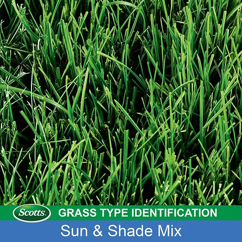 Turf Builder Sun & Shade Seed 3 lb